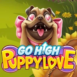 Play the Go High Puppy Love slot by RubyPlay on Casinoin Casino