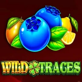 Play the Wild Traces slot by Amusnet Interactive on Casinoin Casino